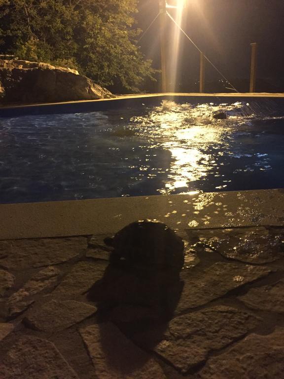 Bonaca *